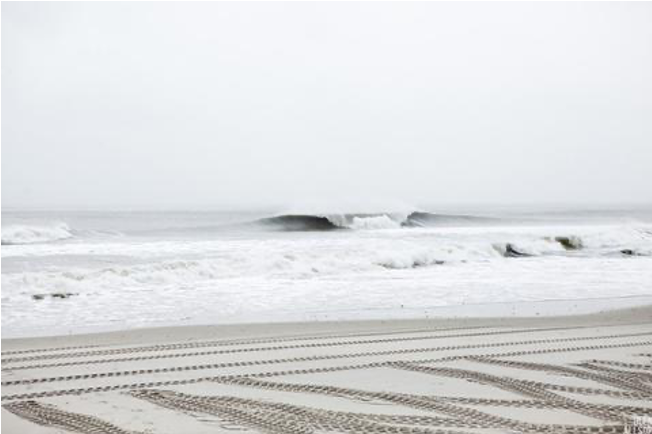 SALTY Homes : Joe, The Surfing Expert - SALTY Furniture Inc